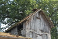 IMG_8463_2.jpg