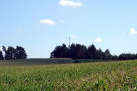 Hier das besagte Wäldchen mit der HLS: