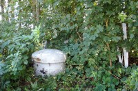 Der Zugang zum Bunker, welchen ich erst mal von Gestrüpp befreien musste, damit man überhaupt etwas sieht