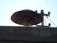 Elektror S4a in Hinterberg/Nußdorf am Inn. Sie steht nur 3 Meter über dem Boden.