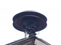 P2255520.jpg