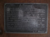 IMG_5446 (Medium).JPG