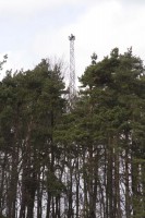 _MG_9898.jpg