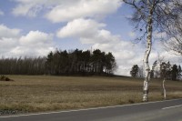 _MG_9900.jpg