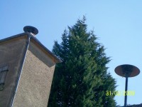Niedersaubach