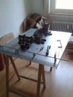 Der Kater möchte auch Aufmerksamkeit