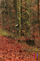 IMG_1905a.JPG