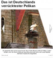Quelle: www.BILD.de