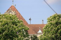 HLS Wien Hietzing 3.jpg (116.54 KiB) 4807 mal betrachtet Hier kommen wir der Sache schon näher...