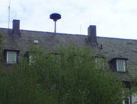 Simmern_Hunsrueck_001.jpg