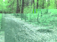 An einem Weg zum Standort