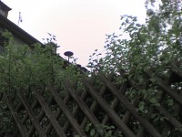 DSC00020.JPG