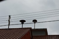 Sirenenduo in Waldweiler