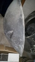 20160629_191623klein.jpg
