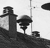 LMW3336.jpg