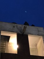 IMG-20170302-WA0019.jpg