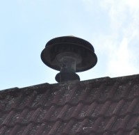 sirene_ 001.jpg