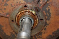 IMG_2605 (Klein).JPG