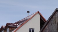 IMG_20180318_142624.jpg
