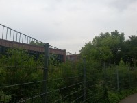 20180523_145705.jpg