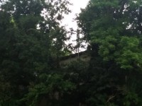 20180523_152600.jpg