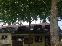 20180525_142942.jpg